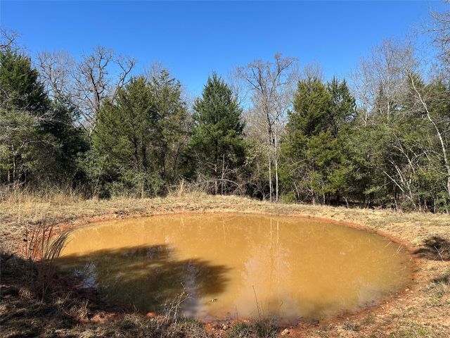 160 Cr 770, Buffalo, TX 75838