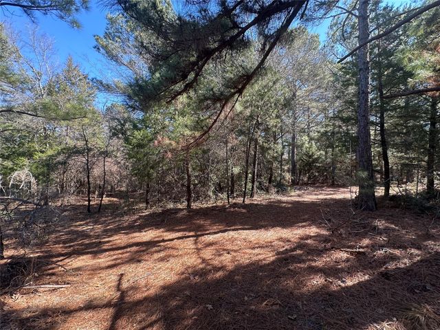 160 Cr 770, Buffalo, TX 75838