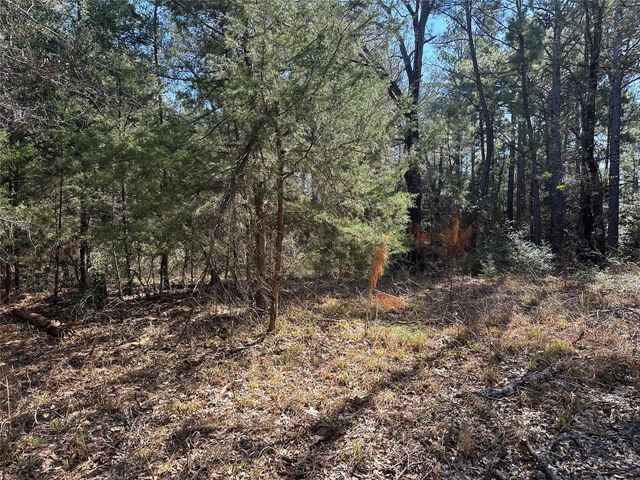 160 Cr 770, Buffalo, TX 75838