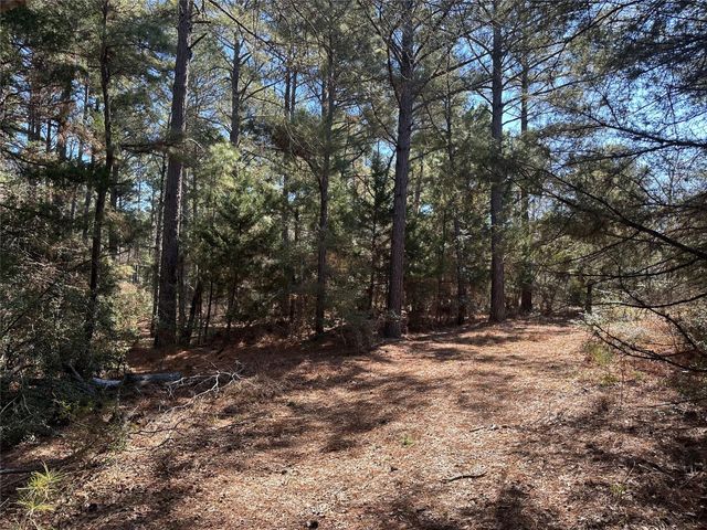 160 Cr 770, Buffalo, TX 75838