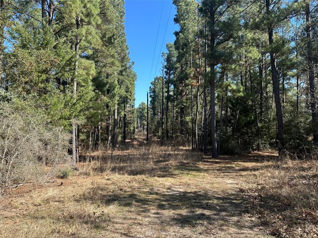 160 Cr 770, Buffalo, TX 75838