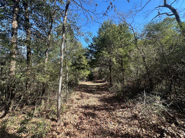 160 Cr 770, Buffalo, TX 75838