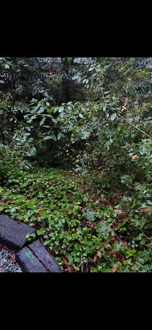 141 Chanterelle, Ben Lomond, CA 95005