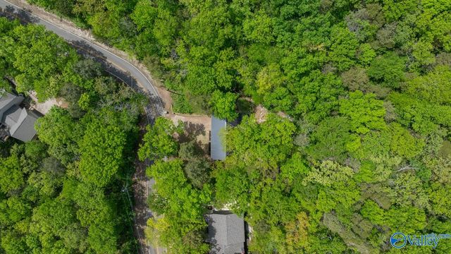 10038 Torino Drive, Huntsville, AL 35803