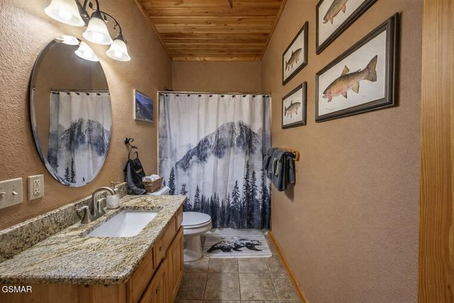 422 Pa Proffitt Road, Gatlinburg, TN 37738