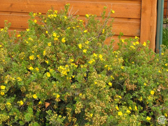 1084 W 2000 N, Vernal, UT 84078