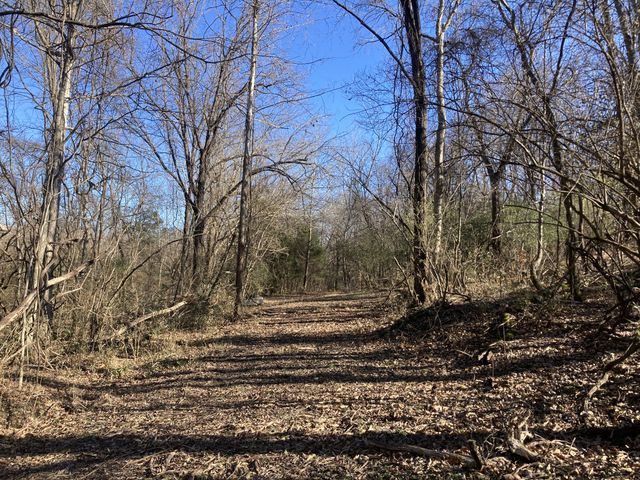 983 Acadia Ct, Gallatin, TN 37066