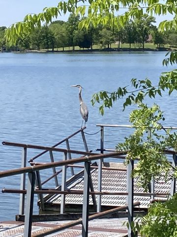 983 Acadia Ct, Gallatin, TN 37066