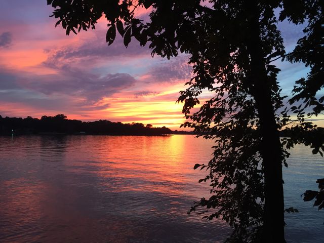 983 Acadia Ct, Gallatin, TN 37066