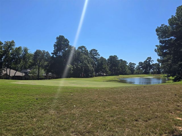 13431 Cherry Hill Circle, Montgomery, TX 77356
