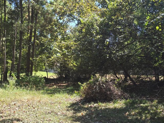 13431 Cherry Hill Circle, Montgomery, TX 77356