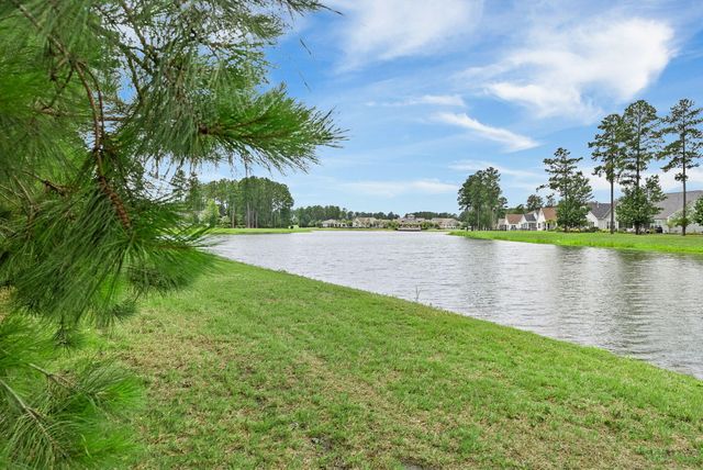 253 Tupelo Lake Drive, Summerville, SC 29486