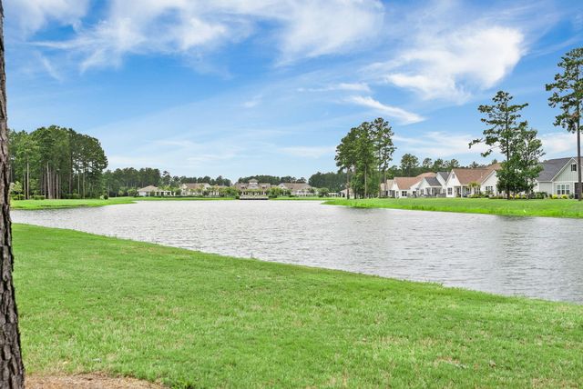 253 Tupelo Lake Drive, Summerville, SC 29486