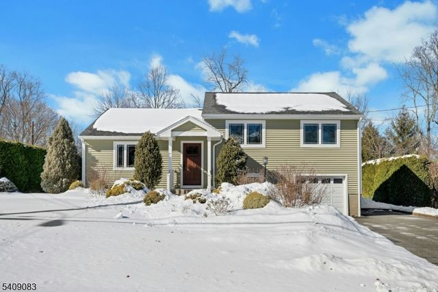 23 Locust Dr, Hanover Twp., NJ 07950