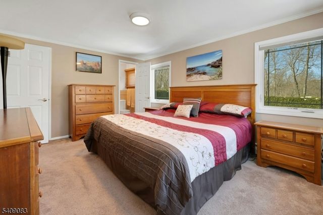 23 Locust Dr, Hanover Twp., NJ 07950