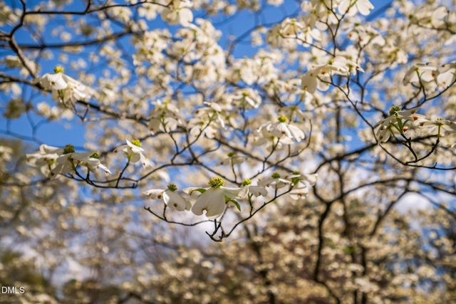 1110 Brookgreen Drive, Cary, NC 27511