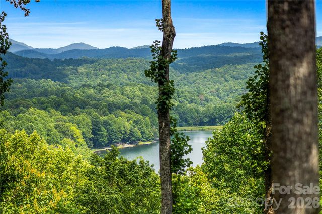 600 Tanglewood Lane, Saluda, NC 28773
