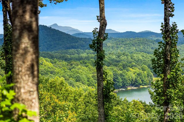 600 Tanglewood Lane, Saluda, NC 28773