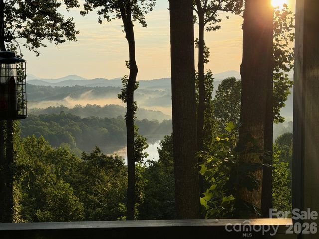 600 Tanglewood Lane, Saluda, NC 28773