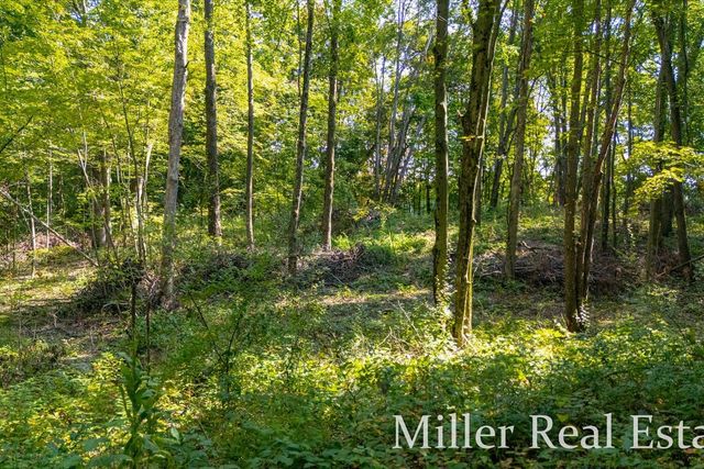 4233 Mud Lake Road, Johnstown Twp, MI 49021