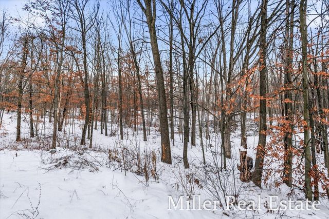 4233 Mud Lake Road, Johnstown Twp, MI 49021