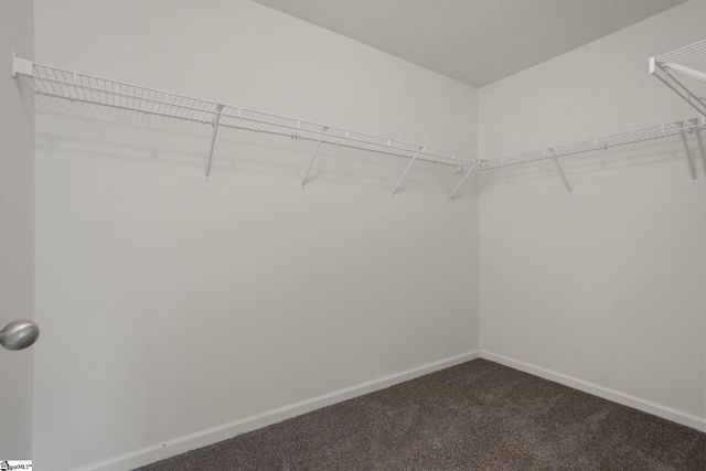 117 Ivy Trellis Court, Simpsonville, SC 29681