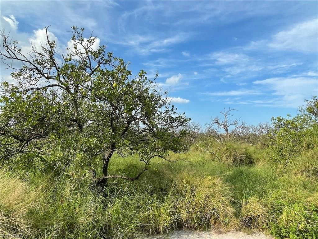 6925 6th RD, LABELLE, FL 33935 — exterior
