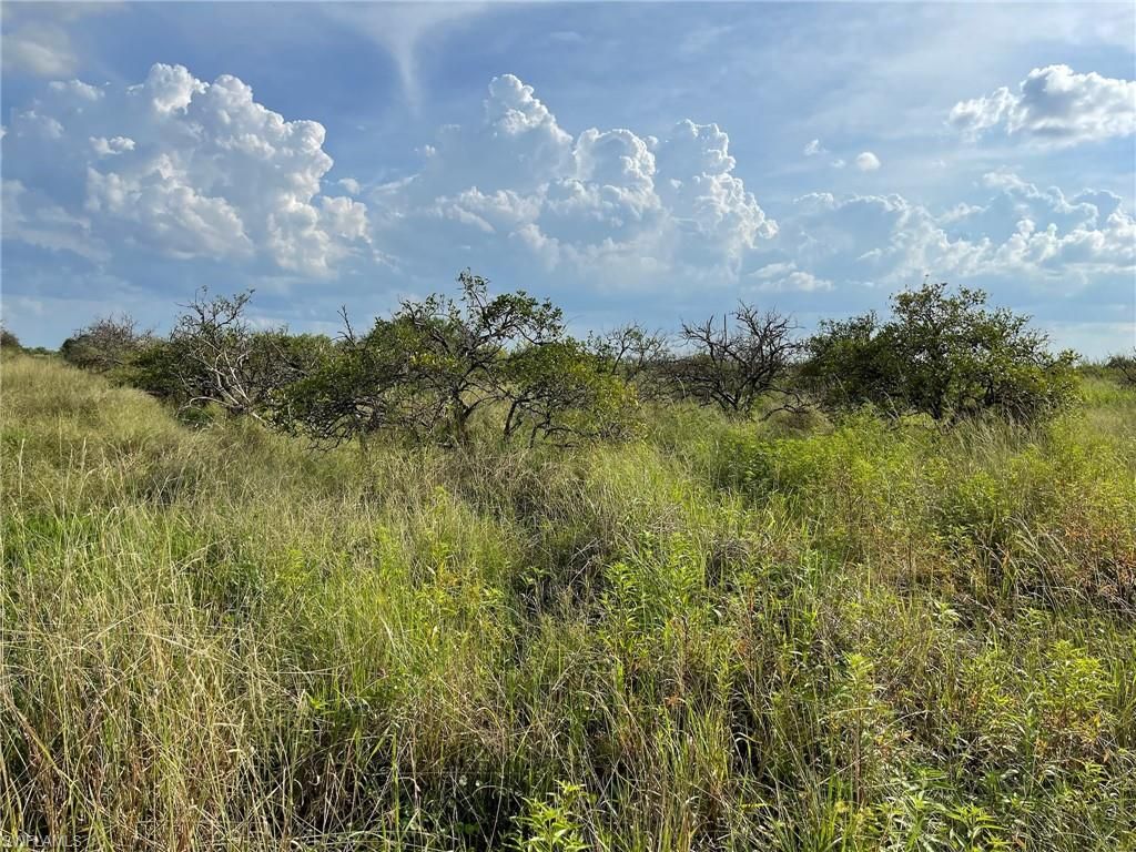 6925 6th RD, LABELLE, FL 33935 — photo 2