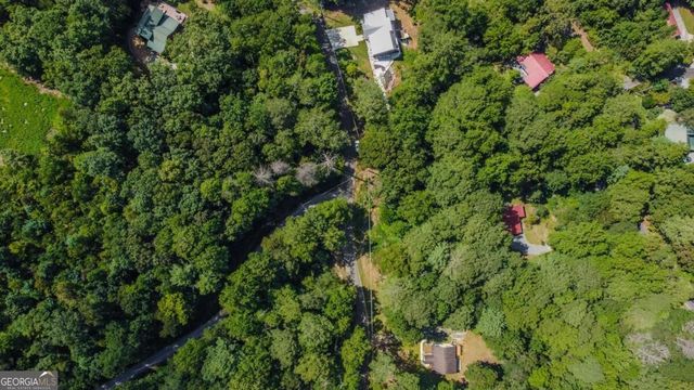LT 880 Matrix Circle 880, Ellijay, GA 30540