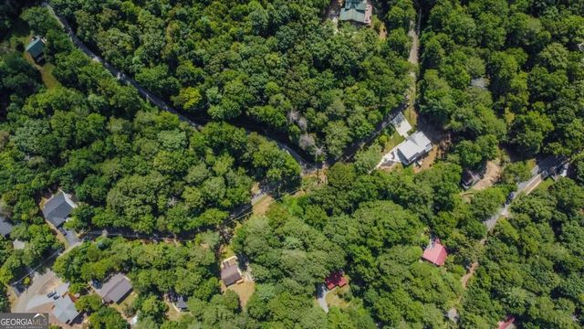 LT 880 Matrix Circle 880, Ellijay, GA 30540