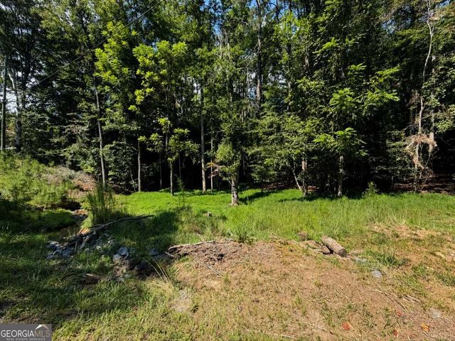 LT 880 Matrix Circle 880, Ellijay, GA 30540