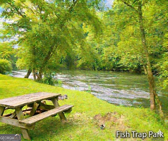 LT 880 Matrix Circle 880, Ellijay, GA 30540