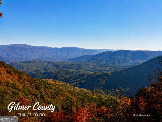 LT 880 Matrix Circle 880, Ellijay, GA 30540
