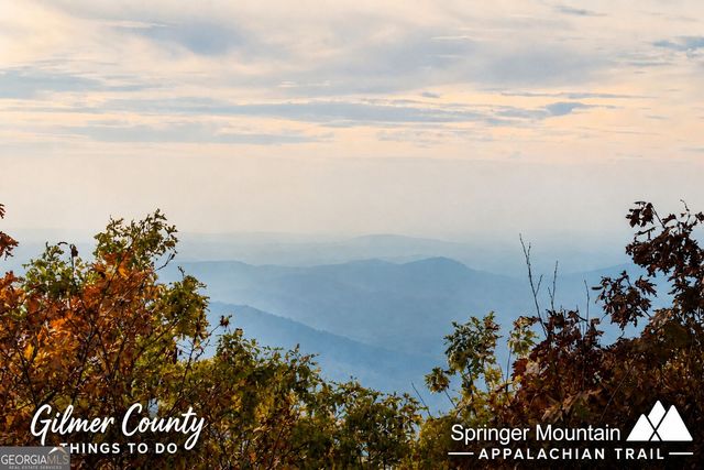 LT 880 Matrix Circle 880, Ellijay, GA 30540