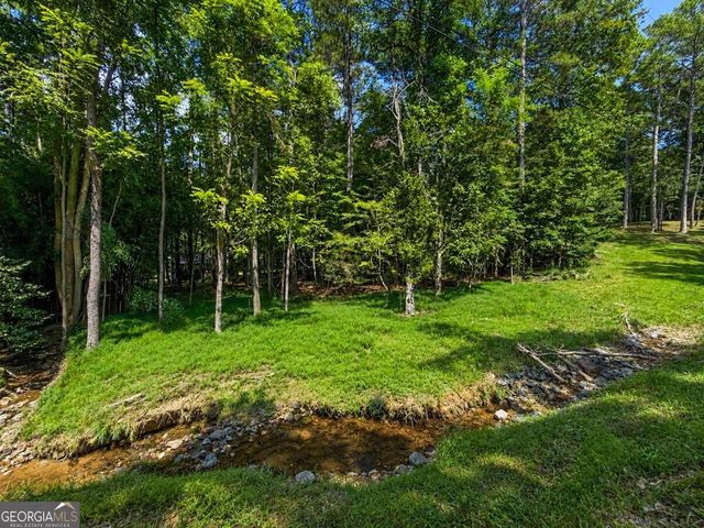 LT 880 Matrix Circle 880, Ellijay, GA 30540
