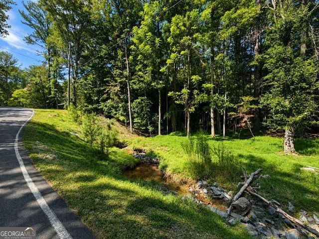 LT 880 Matrix Circle 880, Ellijay, GA 30540