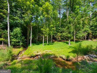 LT 880 Matrix Circle 880, Ellijay, GA 30540