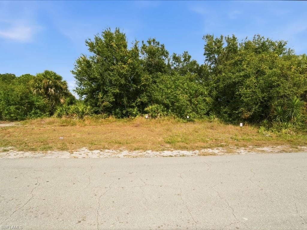 2910 51st ST SW, LEHIGH ACRES, FL 33976 — photo 5