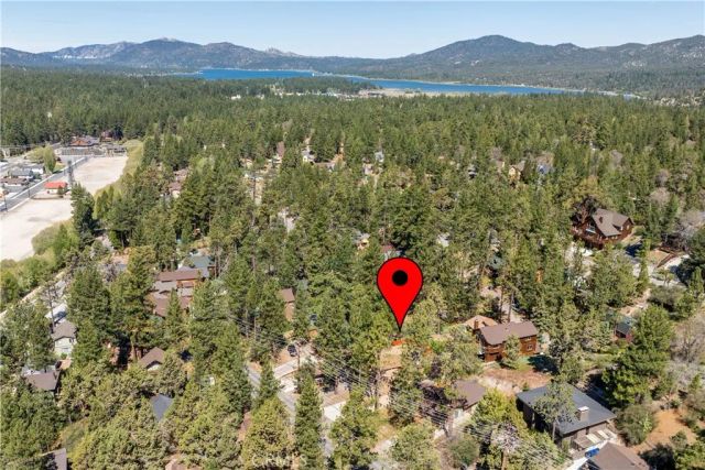 42800 Cougar, Big Bear Lake, CA 92315
