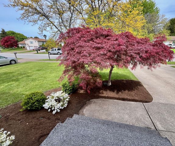 4218 AMHERST Road, Erie, PA 16506