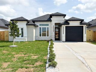 2306 Tamarindo Street E, Hidalgo, TX 78557