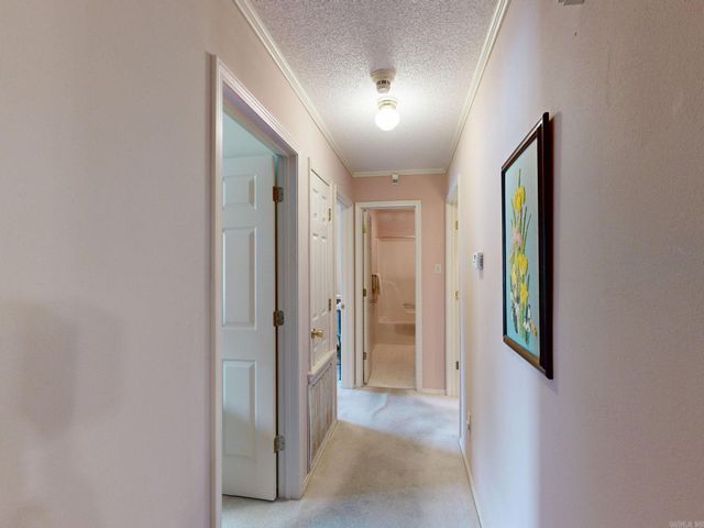 1016 Woodlawn, Hot Springs, AR 71913