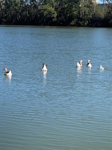 617 White Bass, Conroe, TX 77384