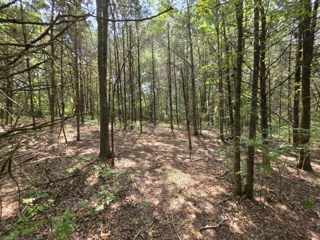 0 Old Hickory Blvd, Nashville, TN 37207