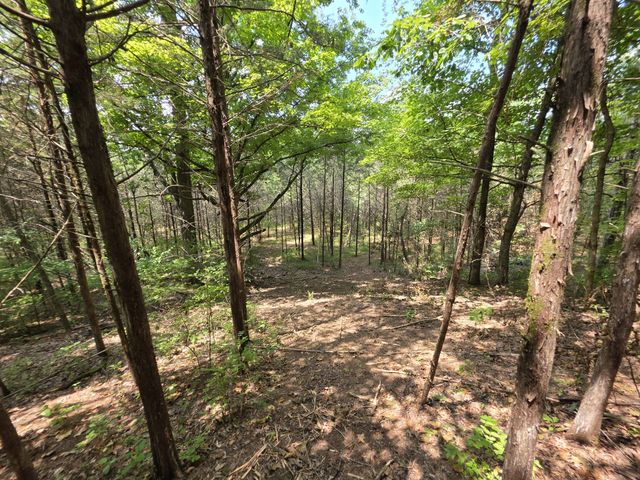0 Old Hickory Blvd, Nashville, TN 37207