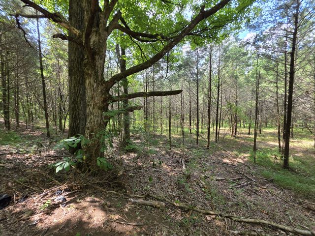0 Old Hickory Blvd, Nashville, TN 37207