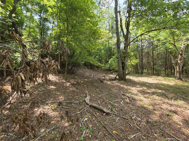 0 Old Hickory Blvd, Nashville, TN 37207