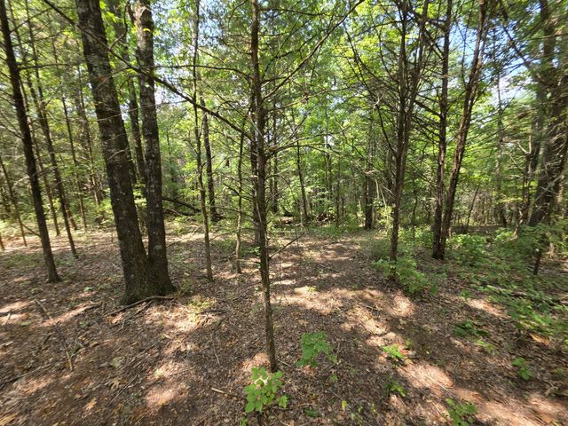 0 Old Hickory Blvd, Nashville, TN 37207