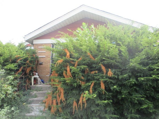 3709 W 66TH Place, Chicago, IL 60629