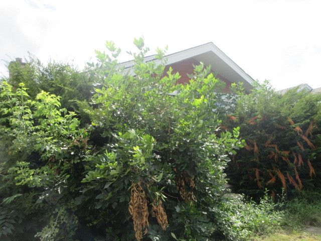 3709 W 66TH Place, Chicago, IL 60629